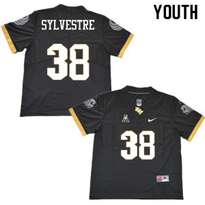 Youth Knights #38 Rod Sylvestre Black Official Jersey 246864-110